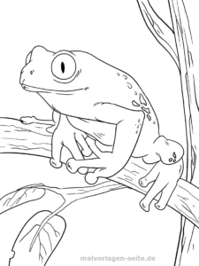 Malvorlage Frosch