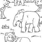 Ausmalbilder Tiere Malen für Kinder