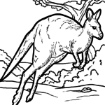 Malvorlage Känguru | Tiere Malvorlage Känguru