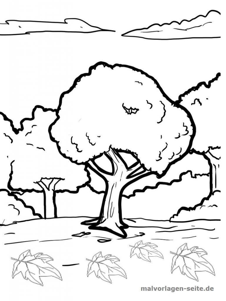 Ausmalbilder Laubbäume kostenlos herunterladen Ausmalbilder Laubbäume kostenlos herunterladen