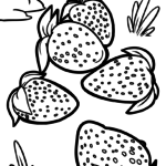 Malvorlage Erdbeeren