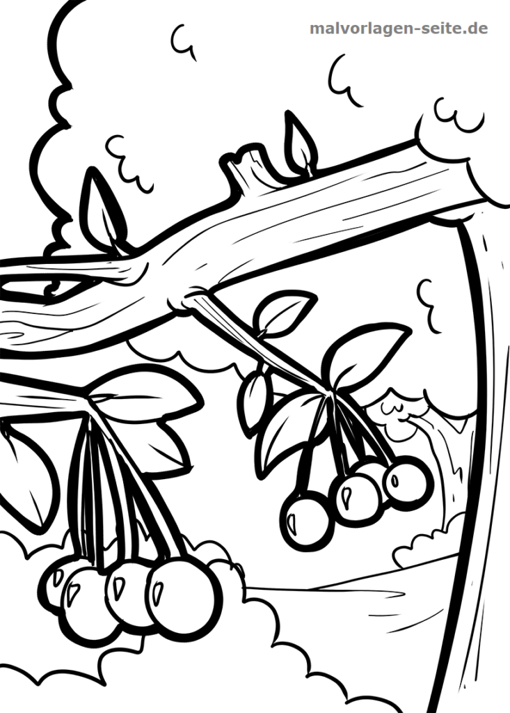 Ausmalbilder Obst Essen und Trinken kostenlos herunterladen