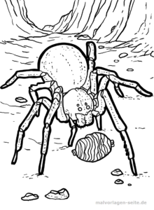 Eine große Spinne mit acht Beinen steht auf felsigem Untergrund und trägt einen runden Eiersack im Maul; im Hintergrund ist ein Höhleneingang zu sehen, was diese Szene zu einer spannenden Malvorlage für Kinder macht, die Spaß am Ausmalen haben.