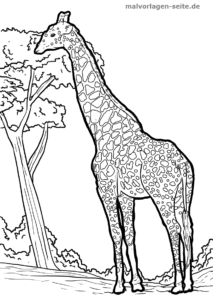 Malvorlage Giraffe