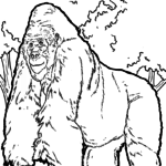 Malvorlage Gorilla