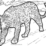 Malvorlage Leopard