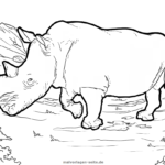 Malvorlage Nashorn