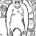 Malvorlage Schimpanse
