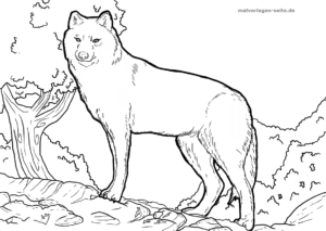 Ein Wolf steht auf felsigem Untergrund und blickt nach vorne, im Hintergrund sind Bäume und Büsche zu sehen. Das Bild ist in Schwarz-Weiß gehalten und erinnert an eines dieser „Ausmalbilder Tiere“ – perfekt für alle, die gerne „Tiere zum Ausmalen“ mögen.