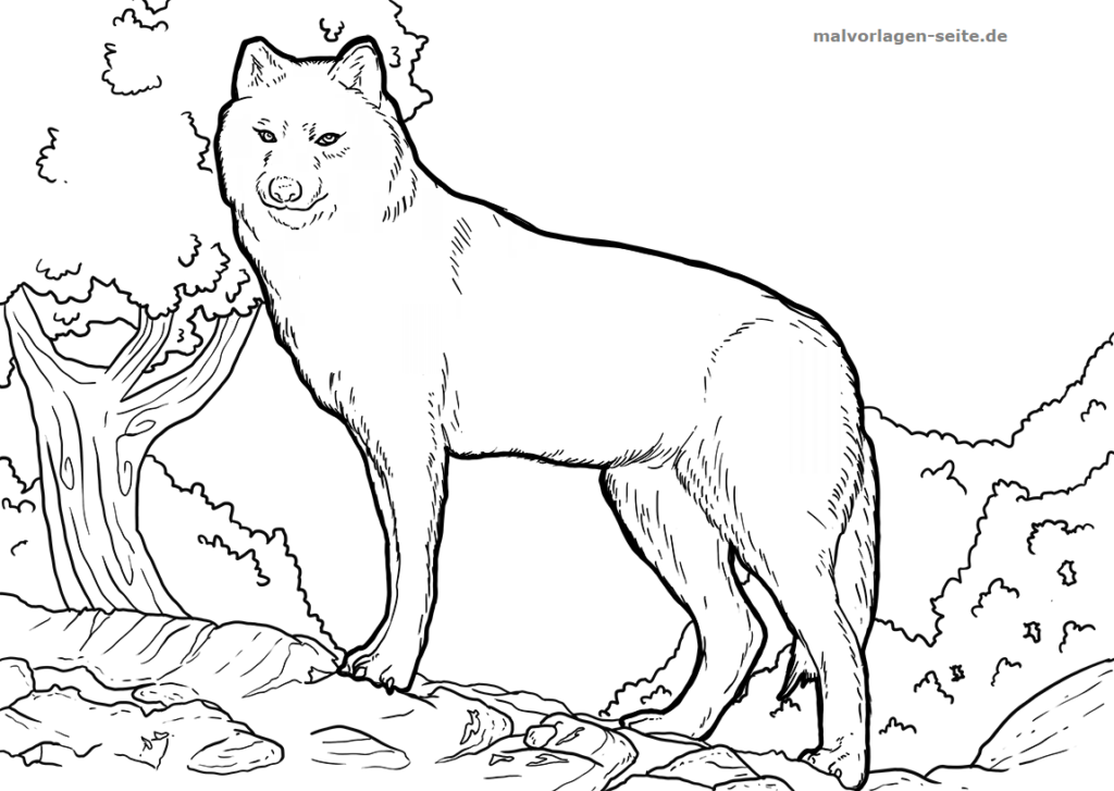 Malvorlage Wolf Tiere Kostenlose Ausmalbilder Malvorlage Wolf Tiere Kostenlose Ausmalbilder
