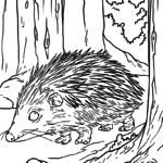 Ausmalbilder Tiere im Wald