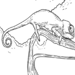 Malvorlage Chamäleon