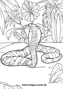 Malvorlage Kobra