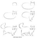 Wie malt man eine Katze?