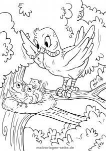 Ein Vogel füttert drei Küken in einem Nest auf einem Ast, umgeben von Blättern und Zweigen. Die Szene ist im Stil eines Cartoon-Malbuchs gezeichnet und eignet sich daher hervorragend als bezaubernde Malvorlage für Kinder.