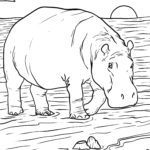 Malvorlage Flusspferd