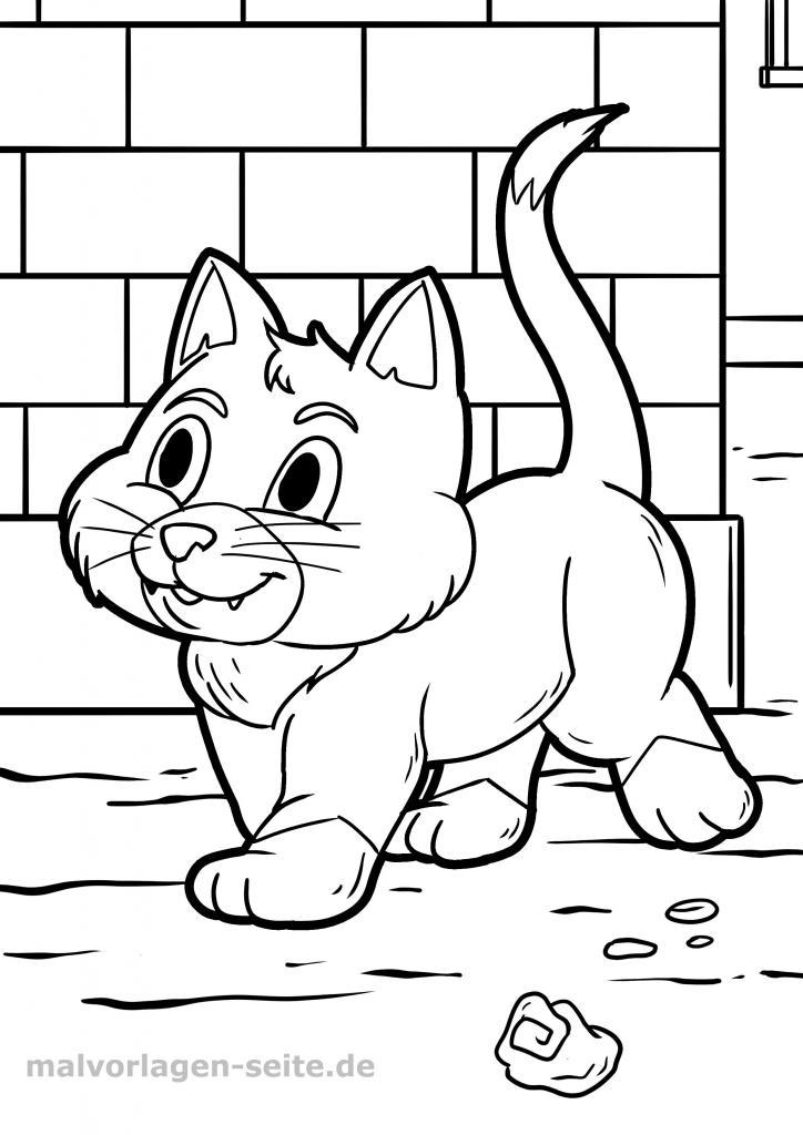 Ausmalbilder Katzen Für Kinder Kostenlos Drucken Und Ausmalen