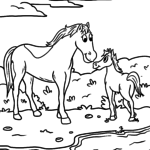 Malvorlage Pferde auf der Weide