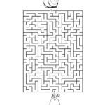 Finde den Weg durch das Labyrinth - Schnecke & Schneckenhaus