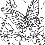 Malvorlage Schmetterling