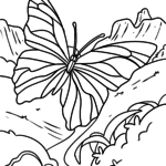 Malvorlage Schmetterling
