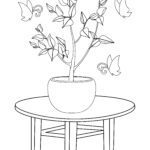 Malvorlage Bonsai | Pflanzen Malvorlage Bonsai