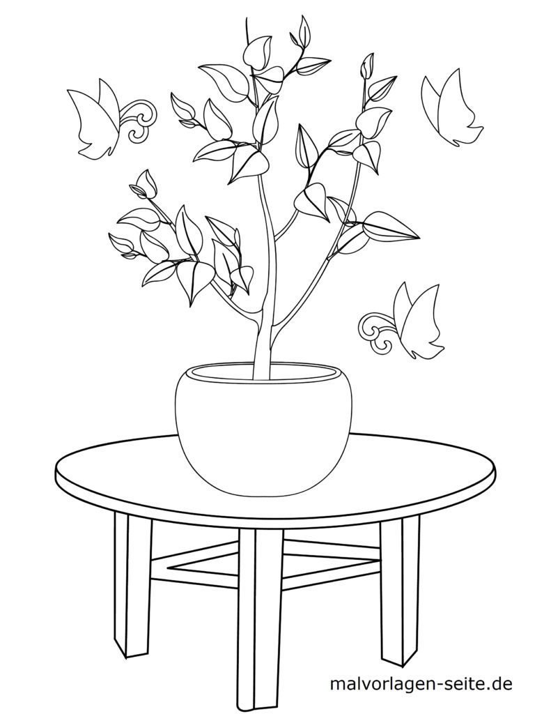 Malvorlage Bonsai Pflanzen Kostenlose Ausmalbilder