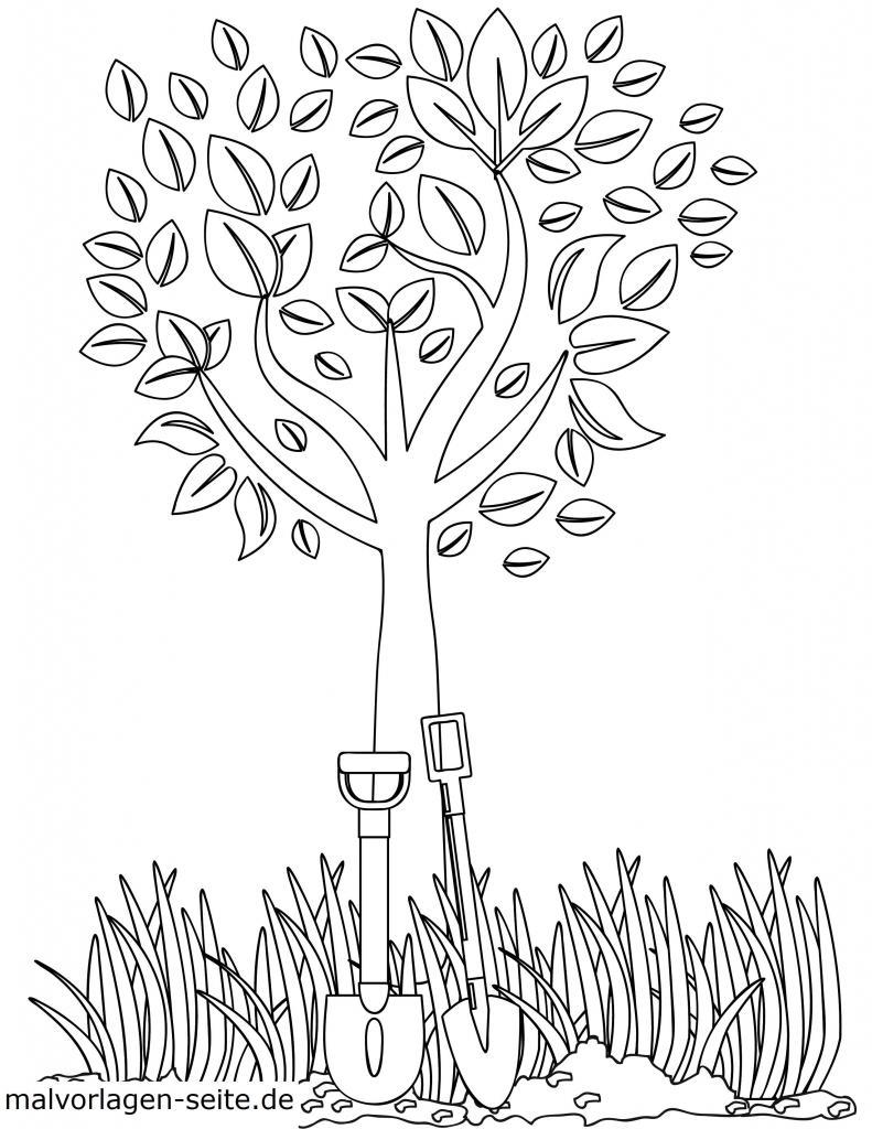 Ausmalbilder Laubbäume kostenlos herunterladen Ausmalbilder Laubbäume kostenlos herunterladen