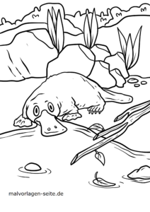 Tiere zum Ausmalen