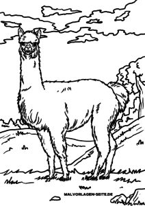 Alpaka / Lama zum Ausmalen
