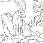 Malvorlage Steinbock