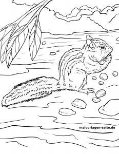 Ausmalbilder Tiere