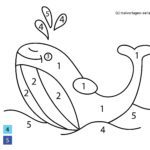 Malen nach Zahlen - Wal