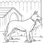 Malvorlage Deutscher Schäferhund