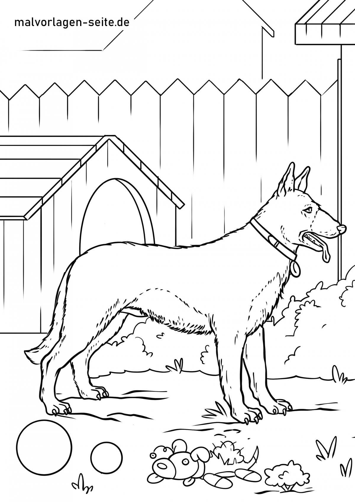 Malvorlage Deutscher Schäferhund zum Ausmalen