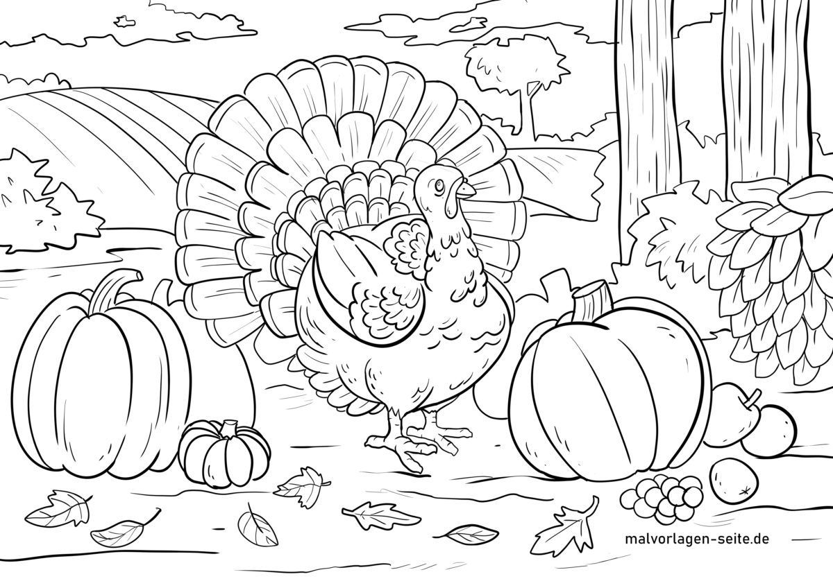 Malvorlage Thanksgiving