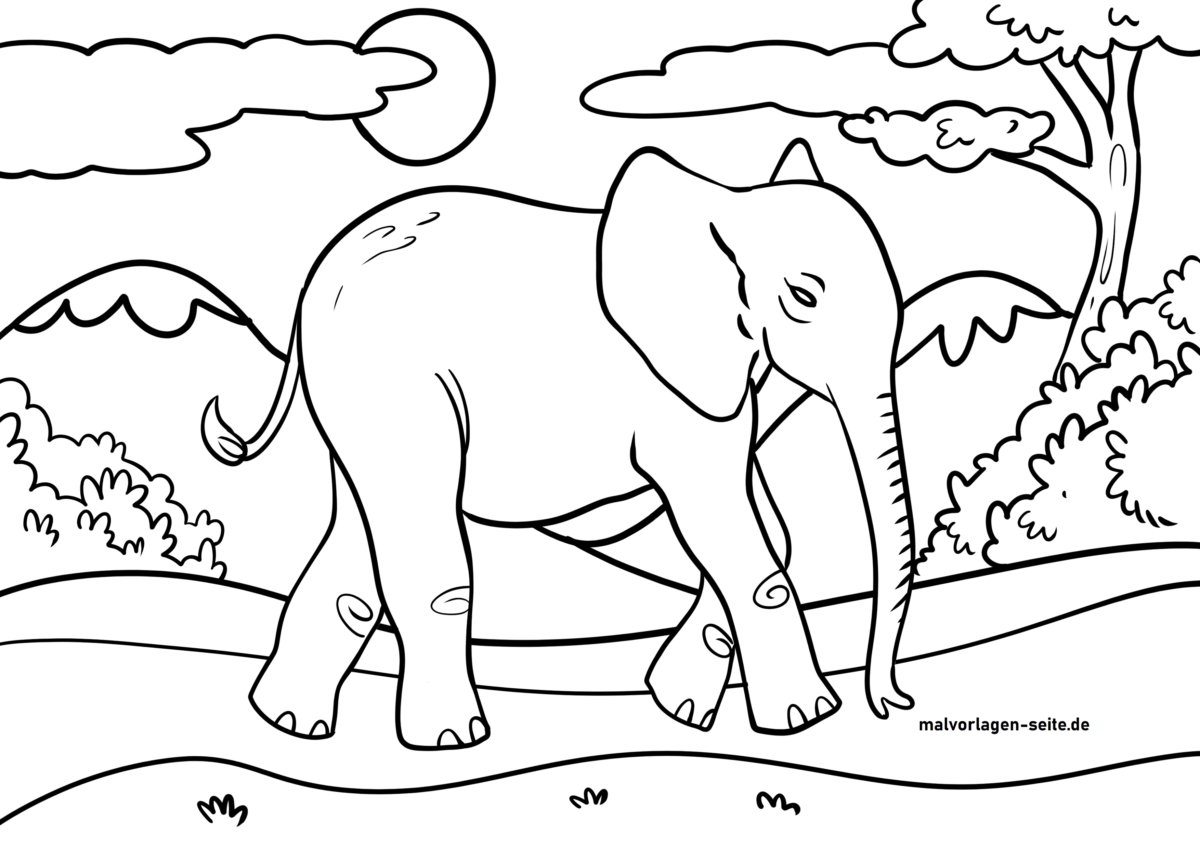 Malvorlage Elefant