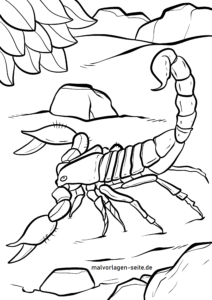 Malvorlage Skorpion