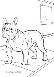 Malvorlage Französische Bulldogge