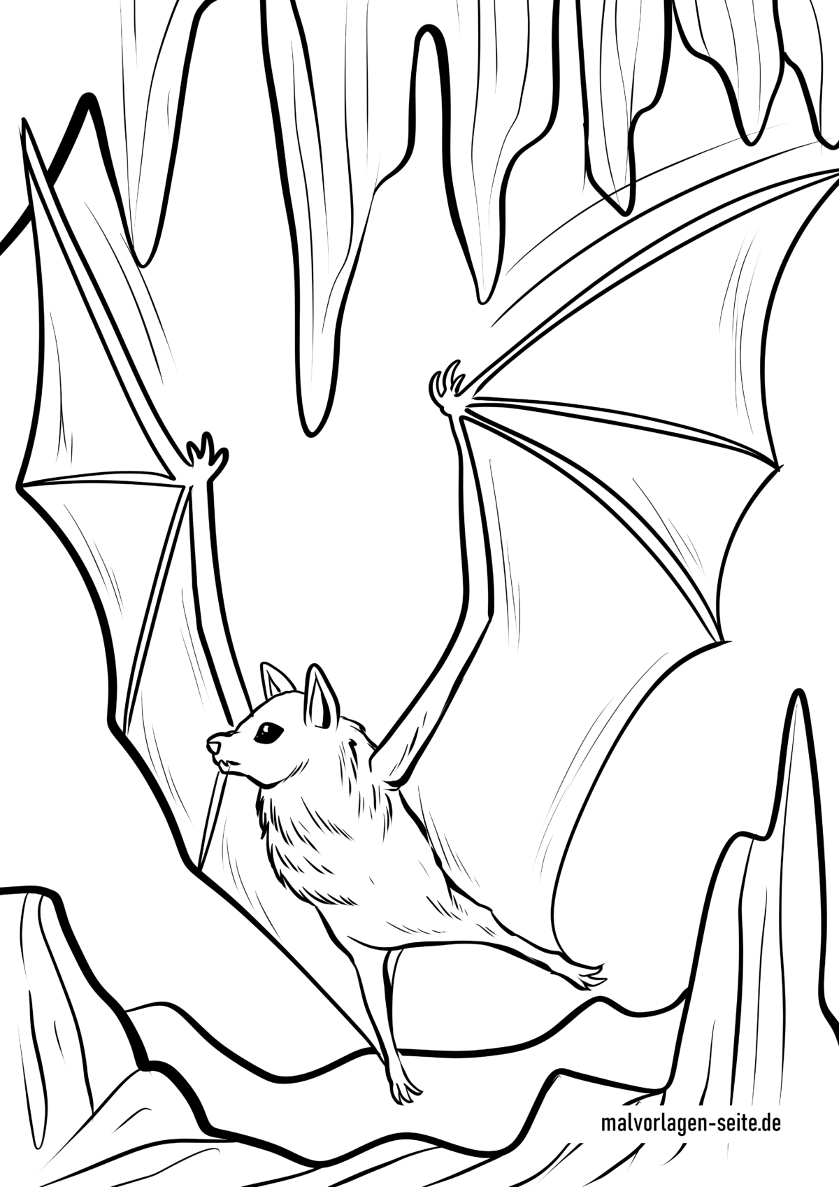 Malvorlage Fledermaus