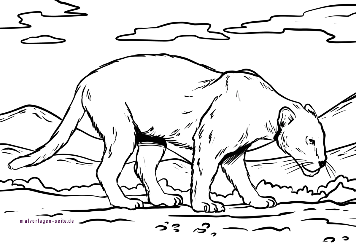 Malvorlage Panther