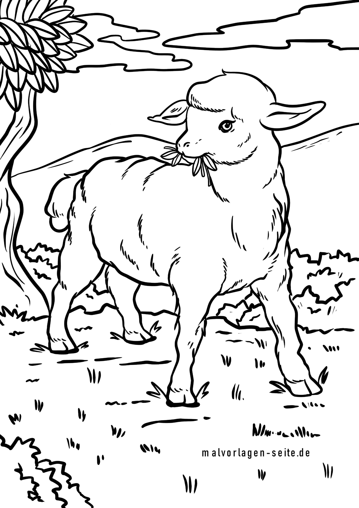 Malvorlage Schaf