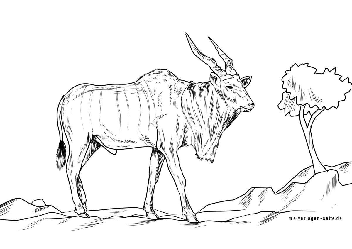 Malvorlage Elen Antilope