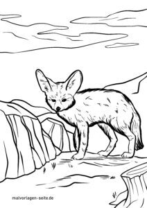 Malvorlage Fennek / Wüstenfuchs