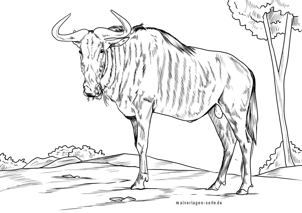 Malvorlage Gnu