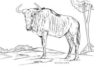 Malvorlage Gnu