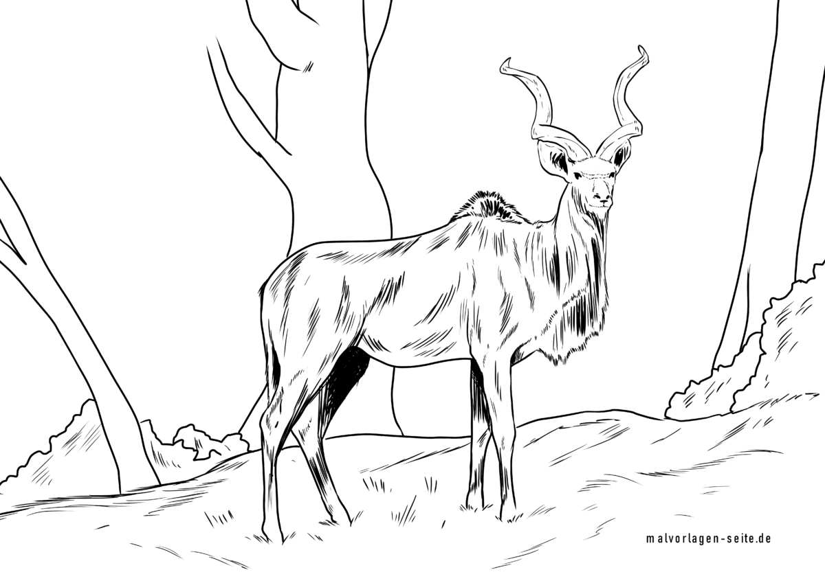 Malvorlage Kudu