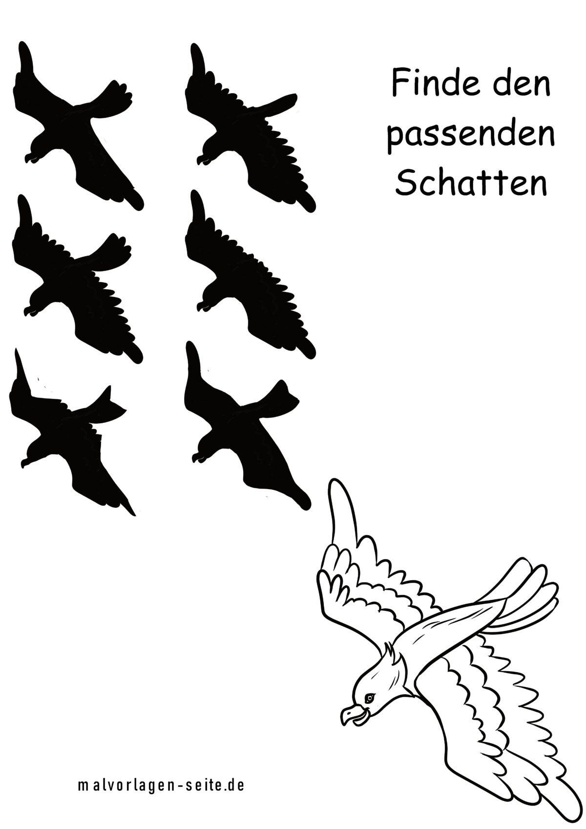 Schattenrätsel Vogel - Welcher Schatten passt zur Vorlage?