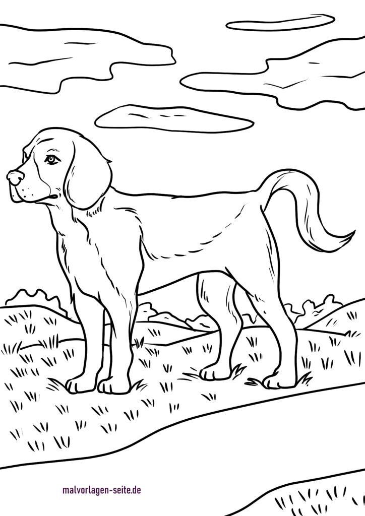 Ausmalbilder Hunde Kostenlos Herunterladen Und Ausmalen