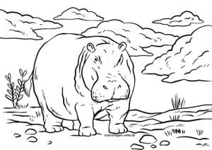 Malvorlage Flusspferd